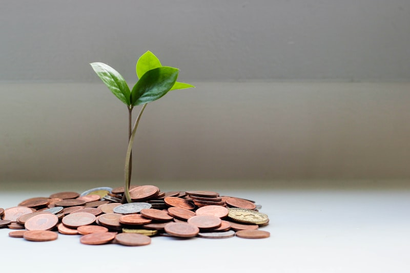Tax Saving Investment